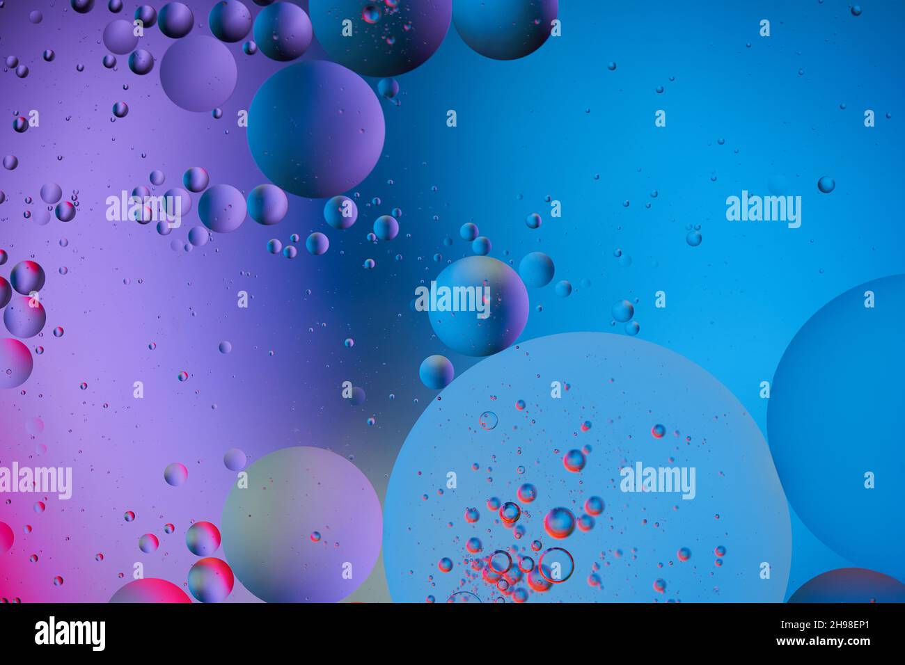 Abstract colorful Background, purple Bubbles and circles in oily Water. Blue and pink colors. Macro photography. Top view. Stock Photo