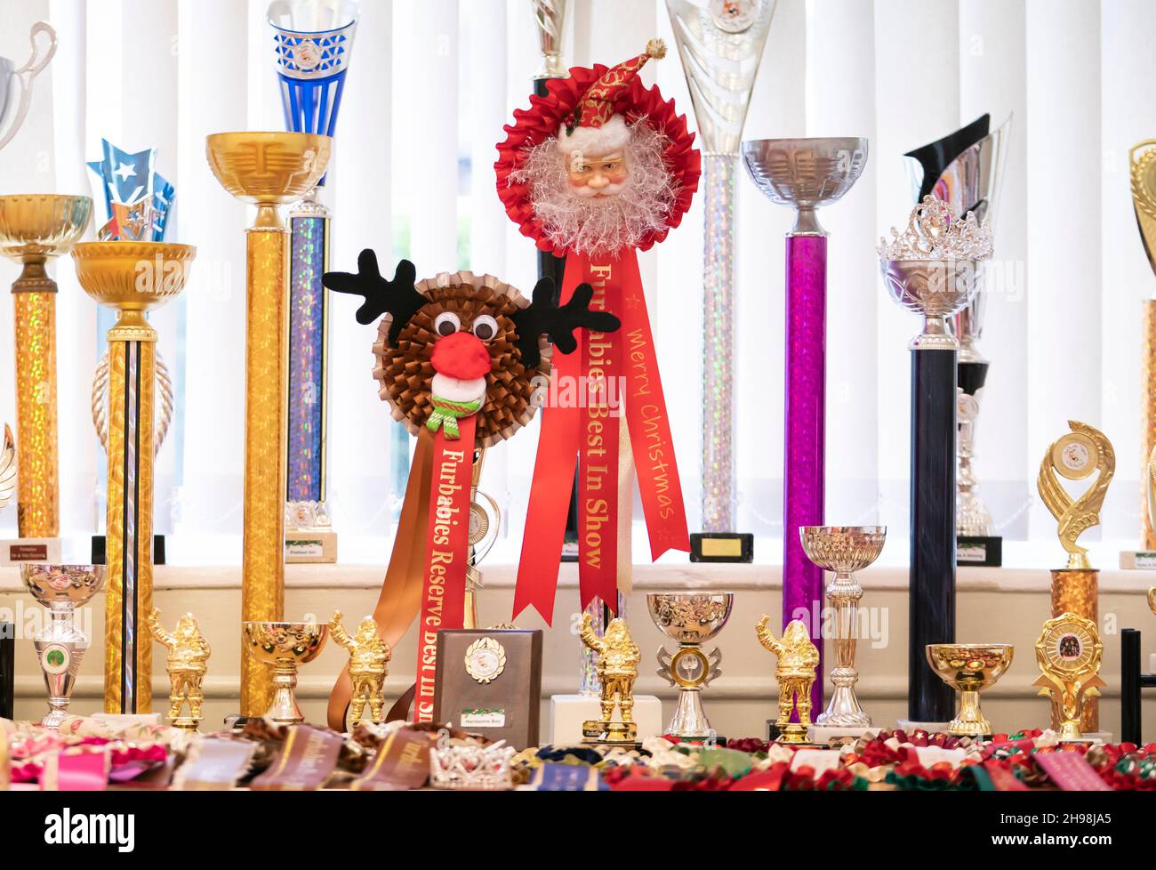 Trophies during the Furbabies Dog Pageant at Collingham Memorial Hall