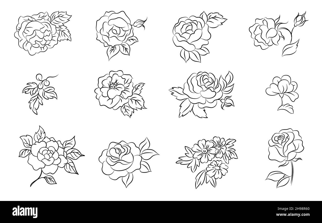 Hand drawn outline flowers. Flower roses, peony daisy plant and leaves. Sketch drawing botanical elements, nowaday garden bouquets vector set Stock Vector