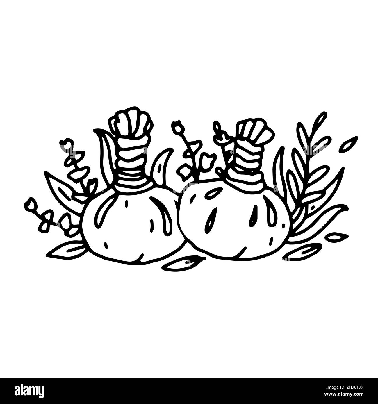 Herbal massage balls in outline style. Vector herbal compress balls for body massage. SPA Massage logo Illustration in hand drawn black and white dood Stock Vector