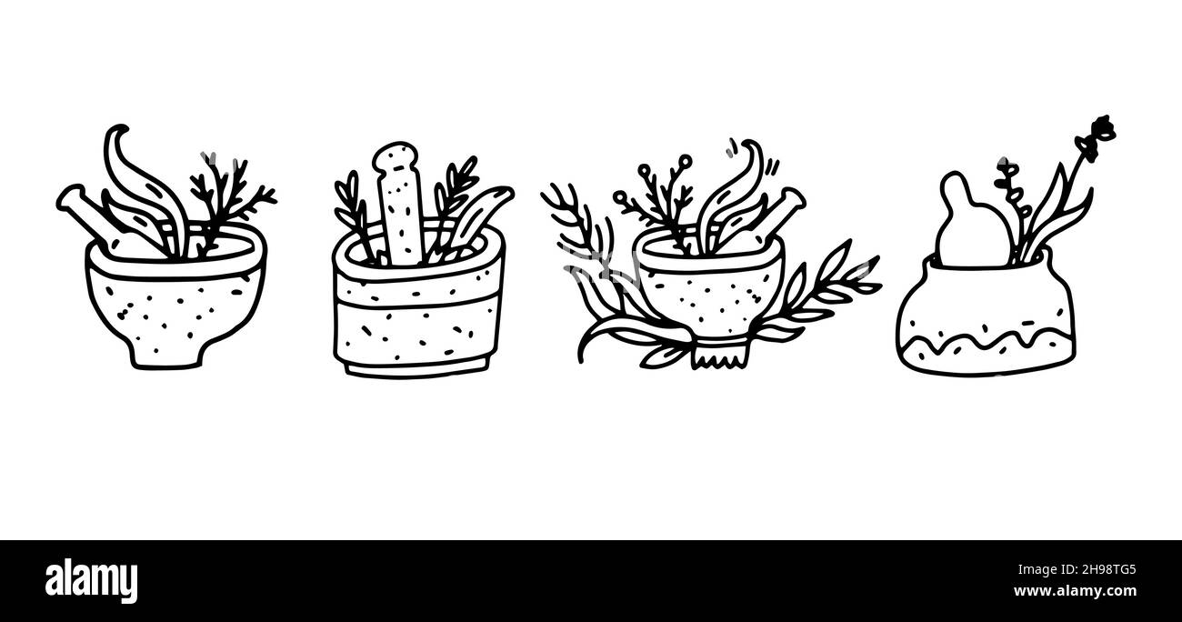 Mortar and pestle with medicinal herbs. Vector illustration set of mortar bowls for traditional folk medicine or ayurveda. Vector icons in hand drawn Stock Vector