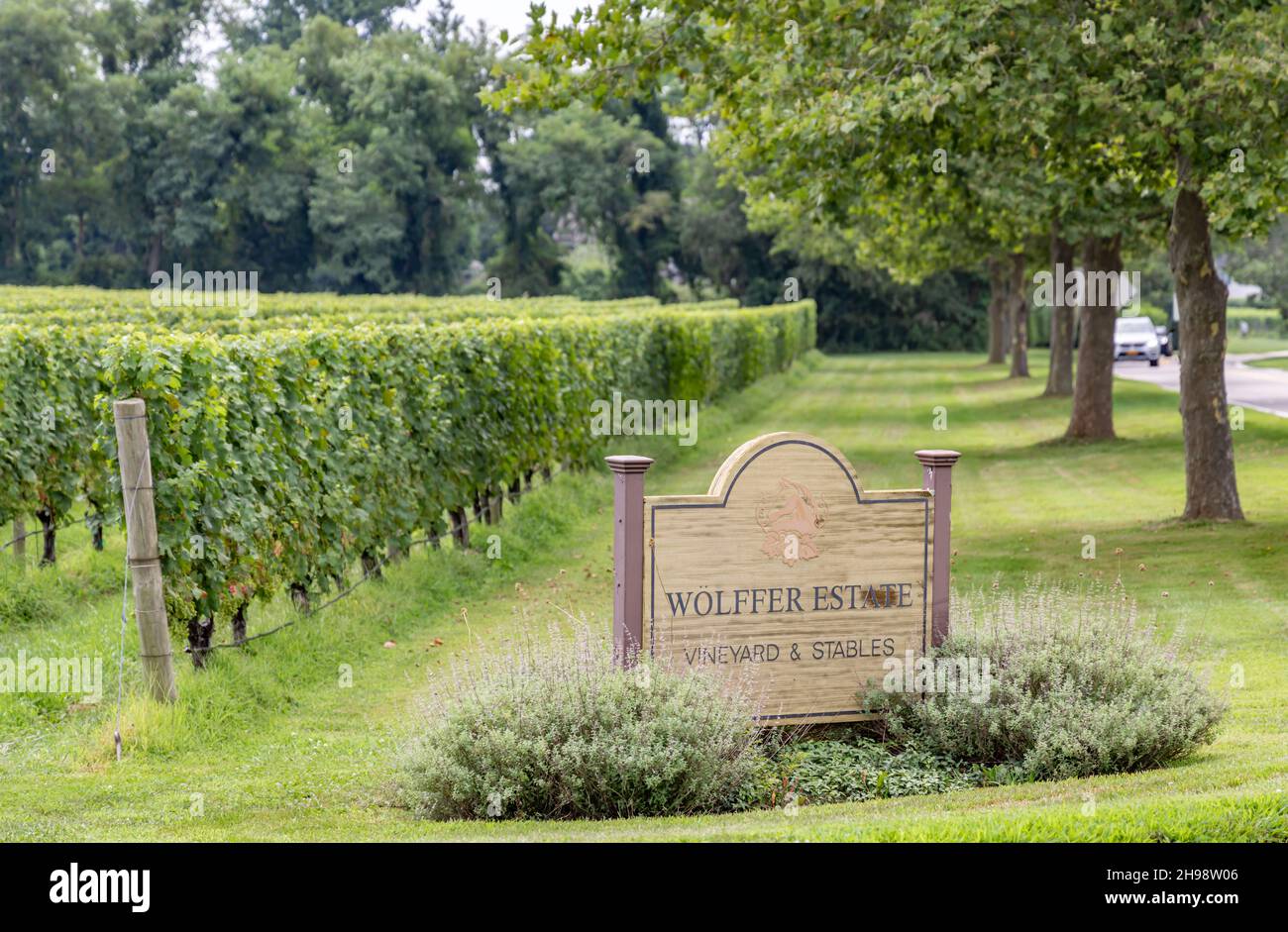 Wolffer estate vineyard hires stock photography and images Alamy