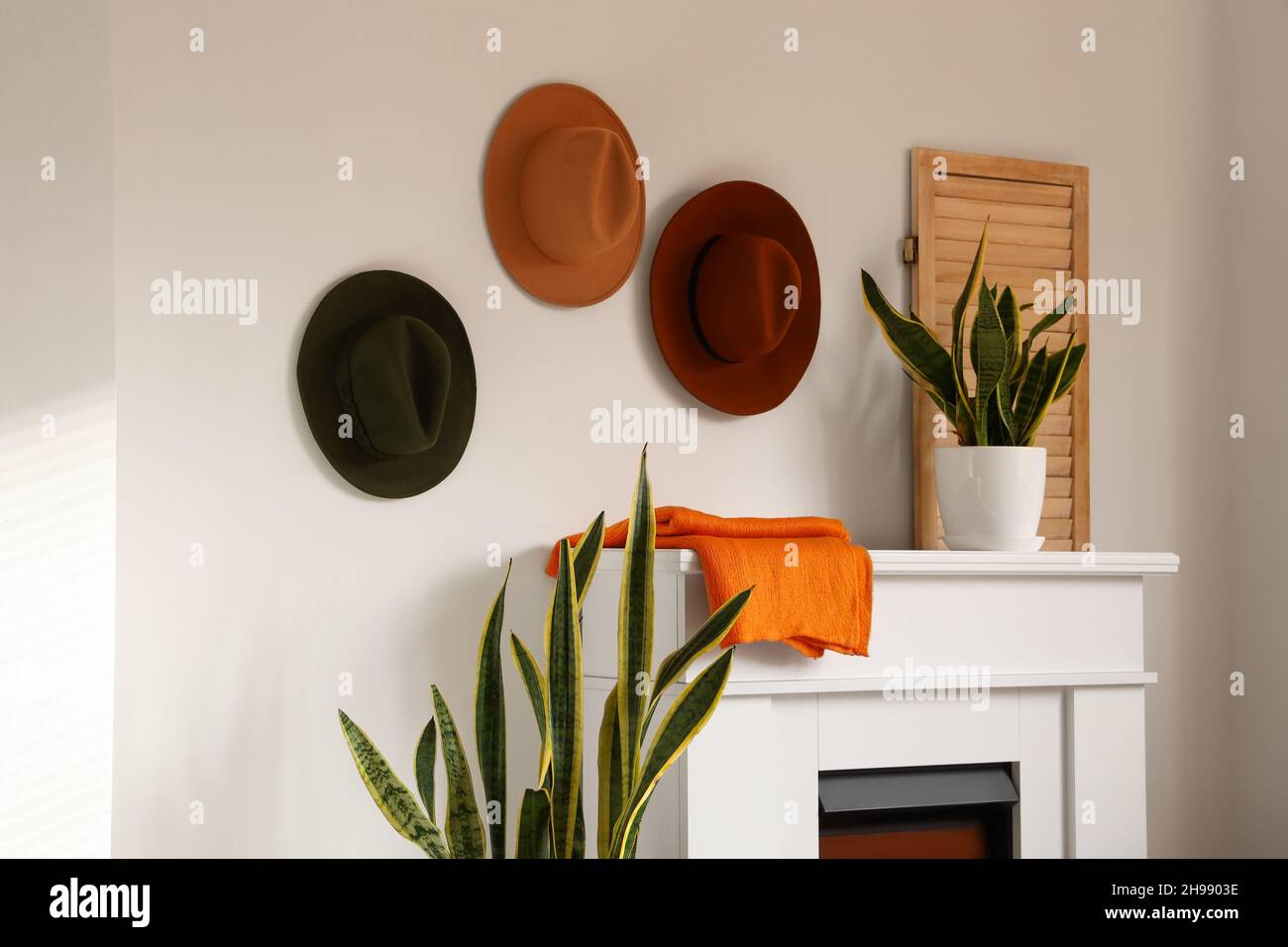 Modern fireplace with houseplant and hats hanging on light wall Stock