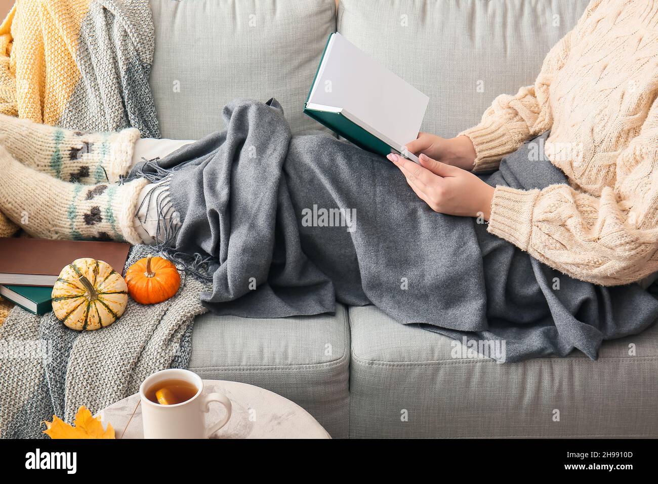 Woman with plaid sitting on sofa and reading book Stock Photo - Alamy