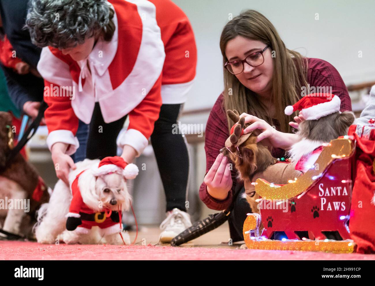 People attend the Victorian Christmas themed Furbabies Dog Pageant at