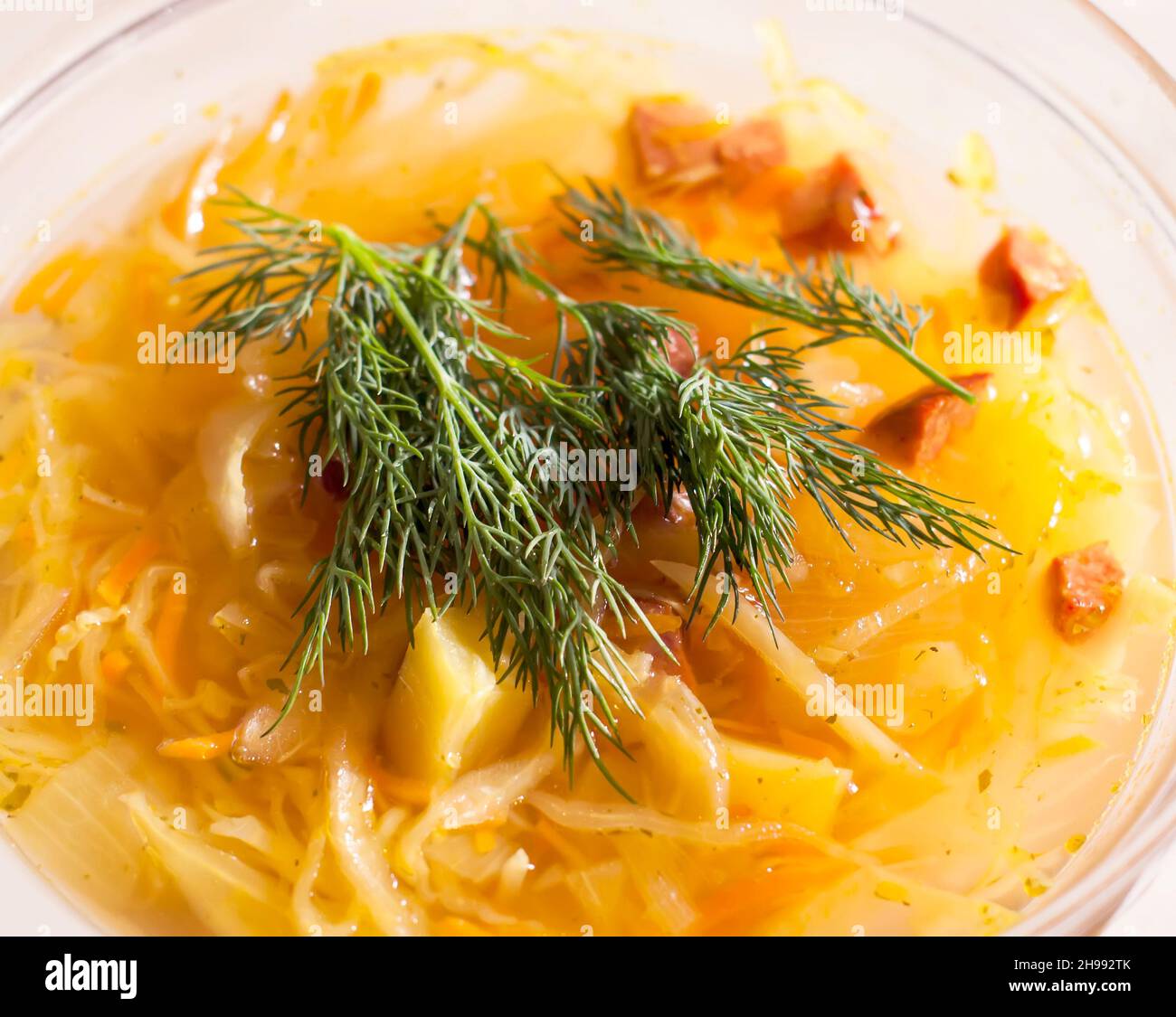 Vegetable traditional russian cabbage soup with green dill Stock Photo