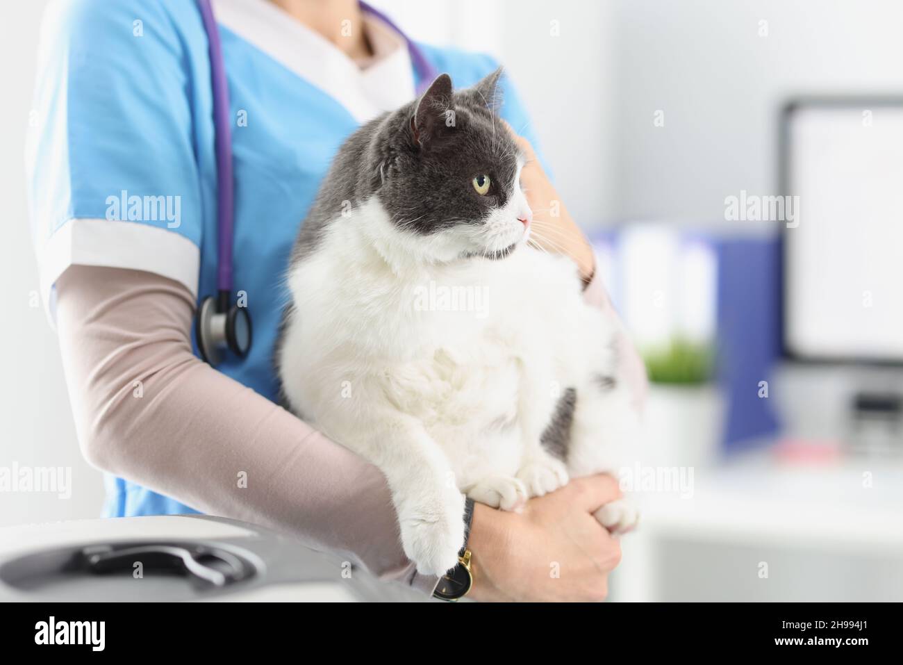 Fat nurse hires stock photography and images Alamy