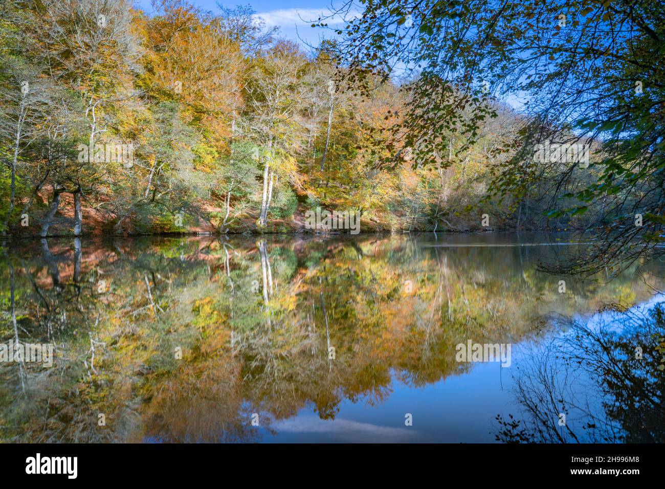 Reflective autumnal moments at Waggoners Wells near Grayshott and Hindhead. Stock Photo