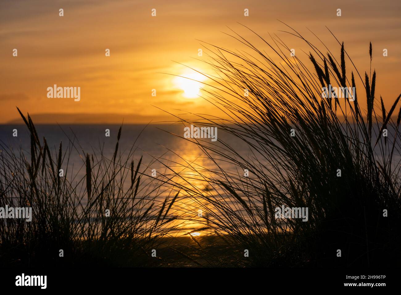 Picturesque sunset on the dunes and through the grasses towards the Isle of Wight at West Wittering. Stock Photo