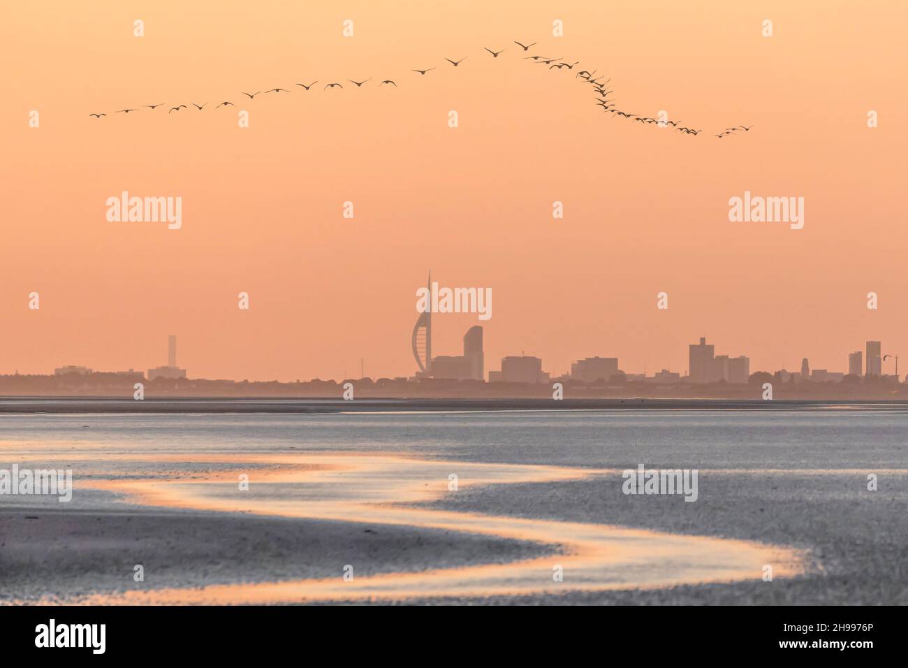 V shaped flying geese formation at sunset over West Wittering beach with Portsmouth and the Spinnaker Tower in the distance Stock Photo