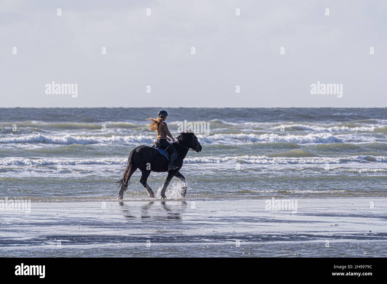 A young person with flowing hair, horse riding on the edge of the water on West Wittering beach in West Sussex Stock Photo