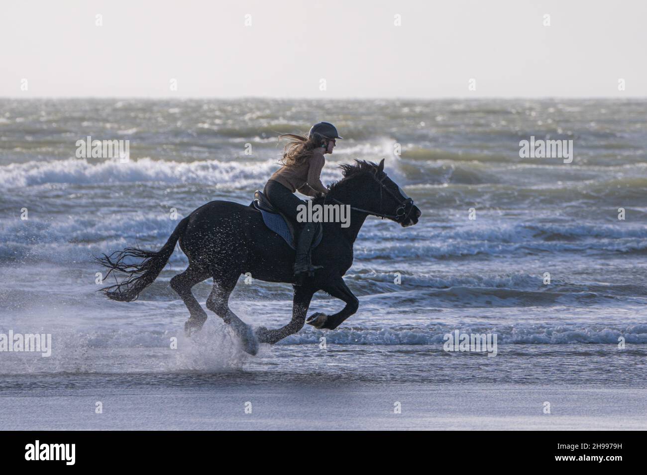 A young person with flowing hair, horse riding on the edge of the water on West Wittering beach in West Sussex Stock Photo