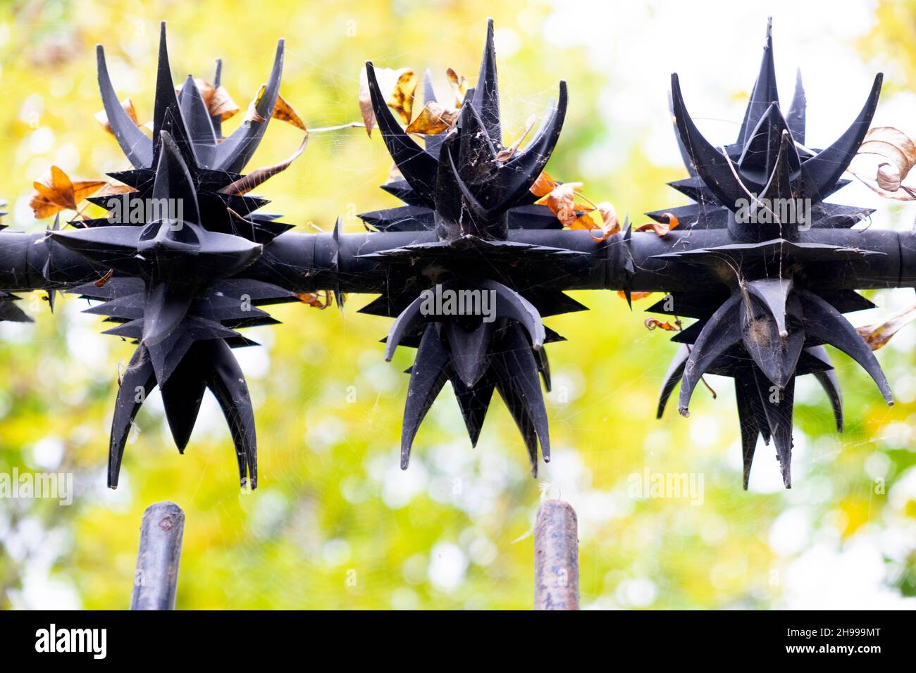 Sharp menacing metal spikes atop iron fence to stop intruders on public ...