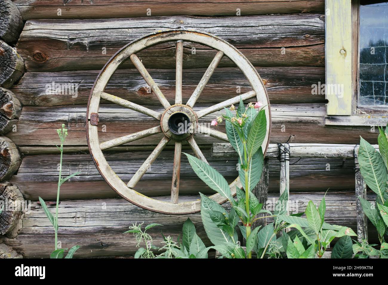 Weathered wall of old barn with wood coach wheel. Stock Photo