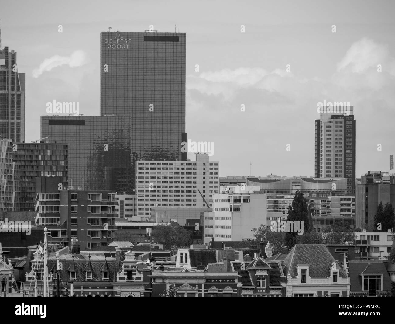 Rotterdam cruise Black and White Stock Photos & Images - Alamy
