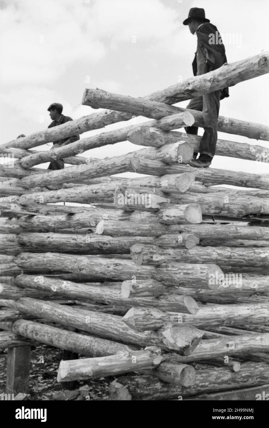 Walker Evans photograph Log Construction Stock Photo Alamy