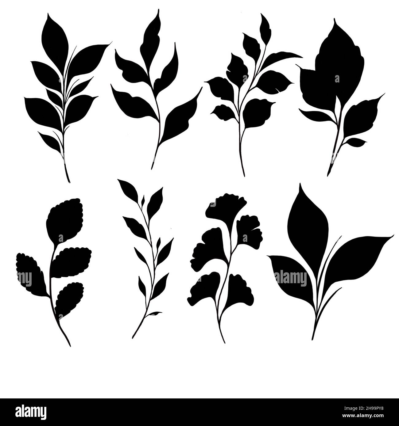 Peony flowers and leaves, tattoo compositions. black linear illustration  isolated on a white background. flowers arrangements | CanStock