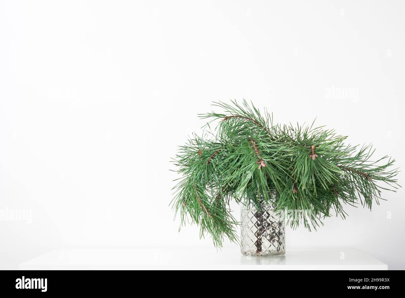branches of pine tree arranged in a glass vase on white surface and