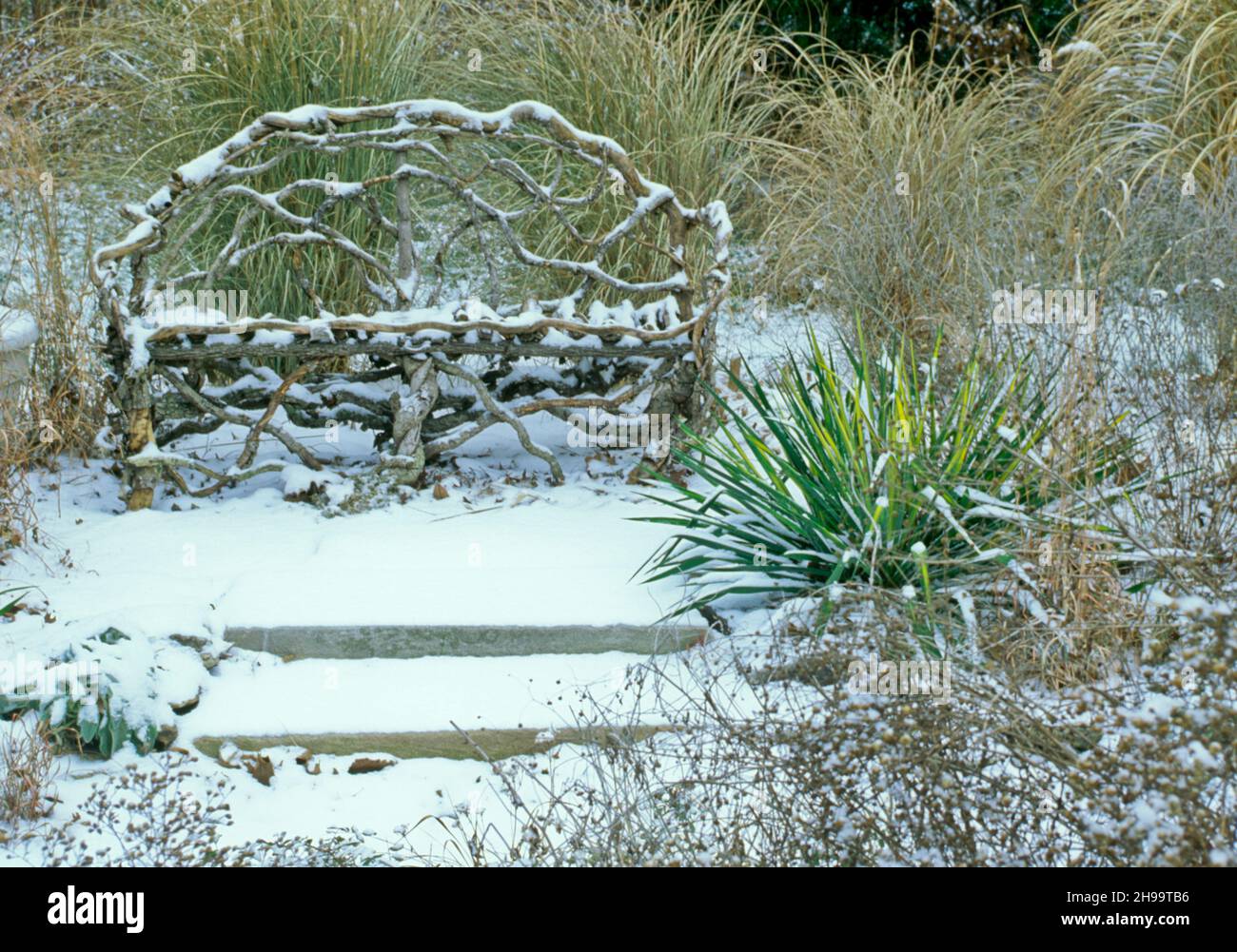 The pattern of handmade grapevine bench in the garden is outlined by snow, and framed with ornamental grasses, Missouri, USA Stock Photo
