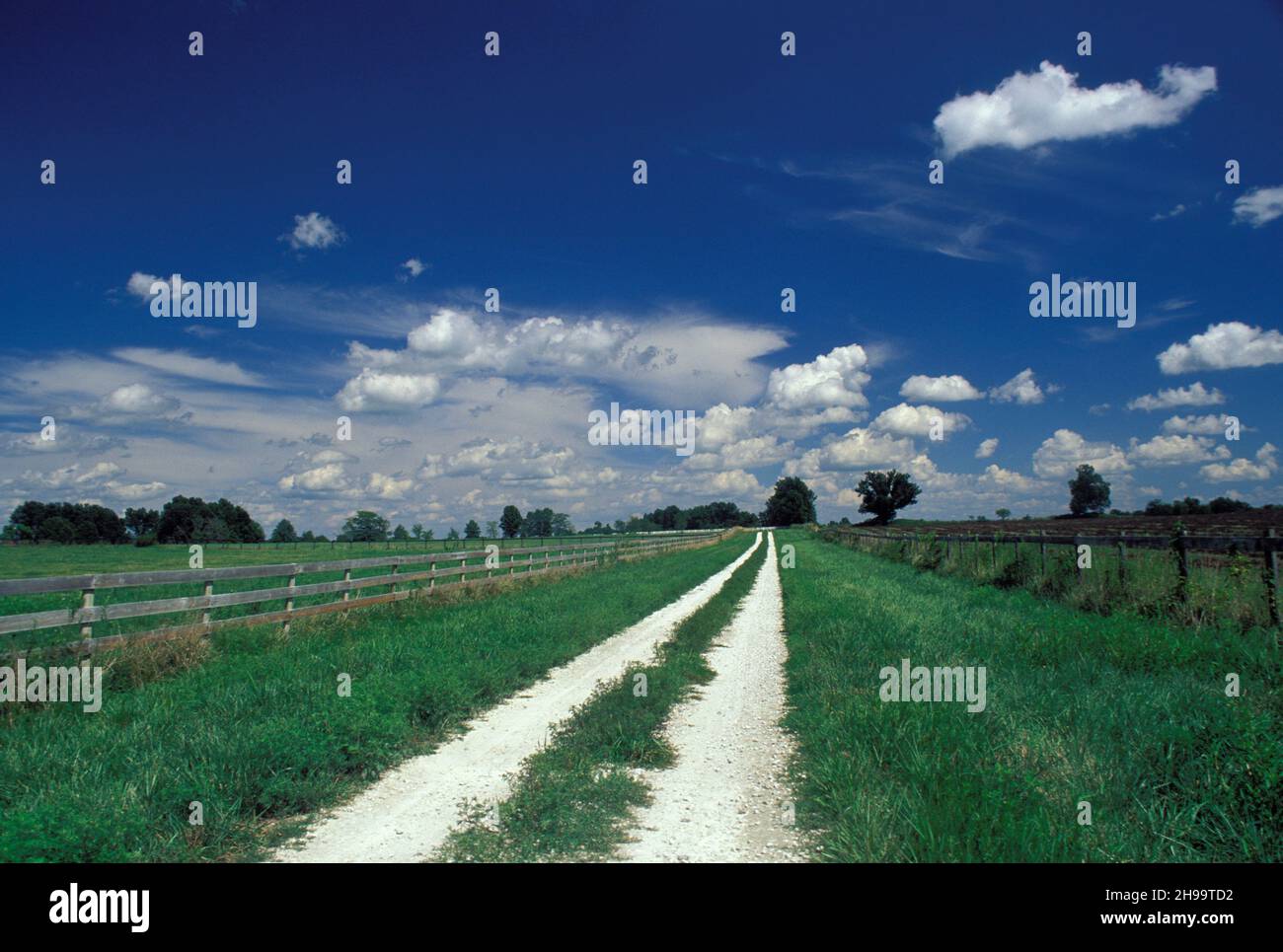 A gravel road stretches forever along a grassy farm in the American midwest on a perfect day, USA Stock Photo