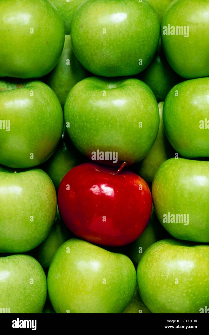 'Stand out and be different: Rows of green apples with one contrasting red apple close up Missouri, USA Stock Photo
