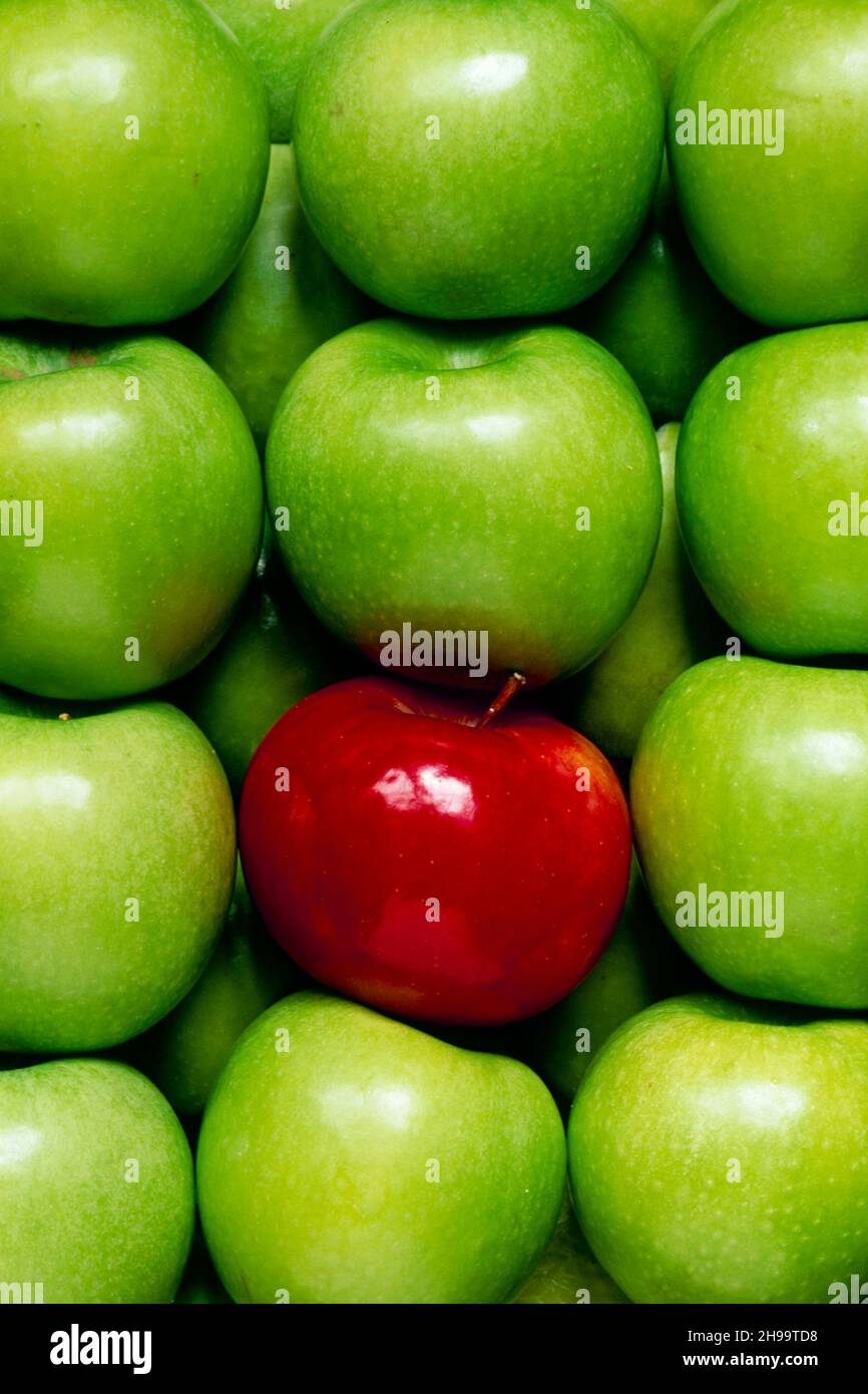 "Stand out and be different" Rows of green apples with one contrasting red apple in close up