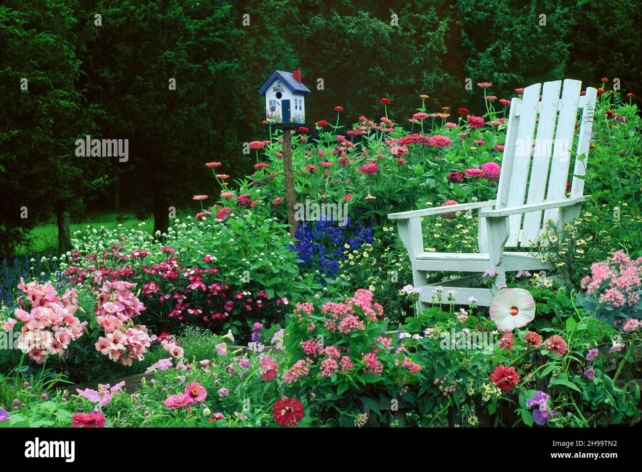 Colorful blooming garden with adirondack chair in backyard, Missouri, USA Stock Photo