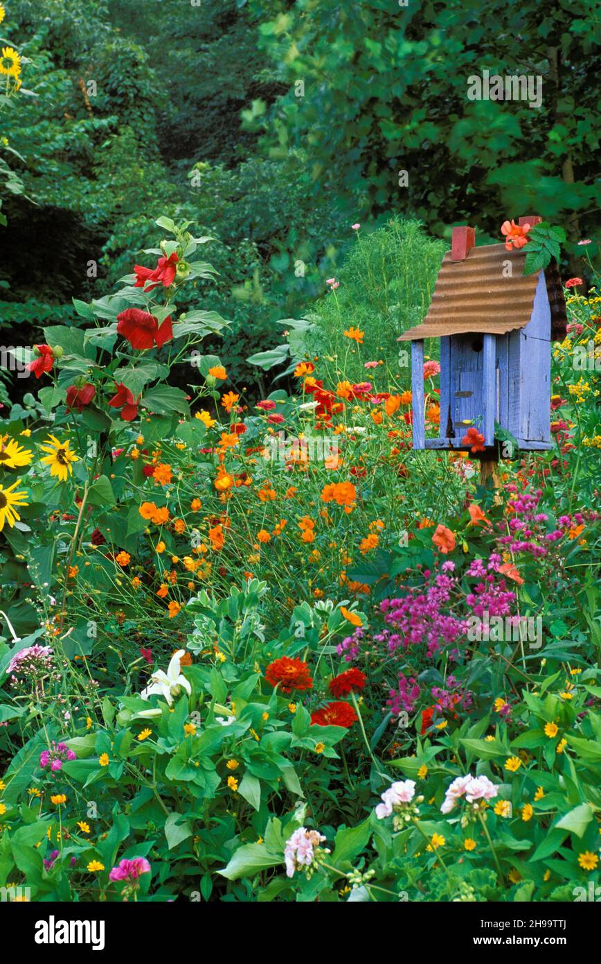 Painted birdhouse in gaudy garden of  mixed blooming flowers, Midwest USA Stock Photo