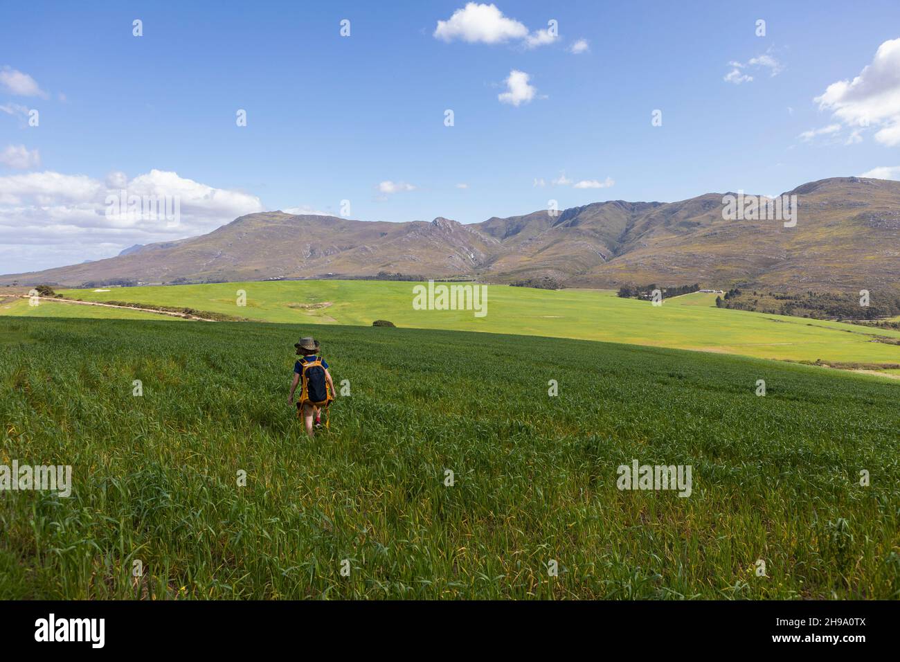 Young boy walking, Stanford Valley Guest Farm, Stanford, Western Cape, South Africa. Stock Photo