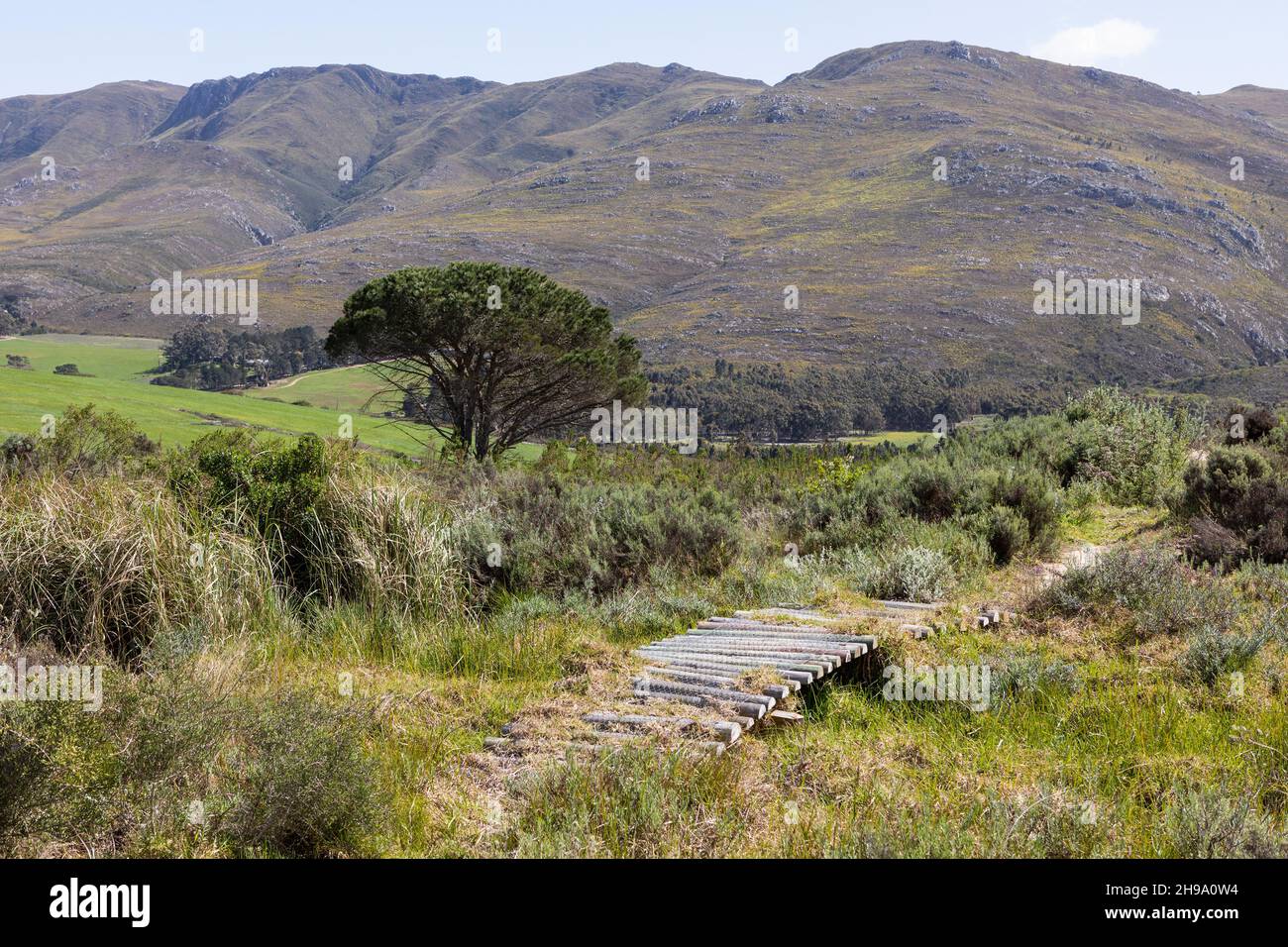 Stanford Valley Guest Farm, Stanford, Western Cape, South Africa. Stock Photo