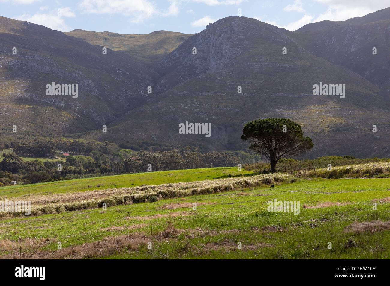 Landscape, Stanford Valley Guest Farm, Stanford, Western Cape, South