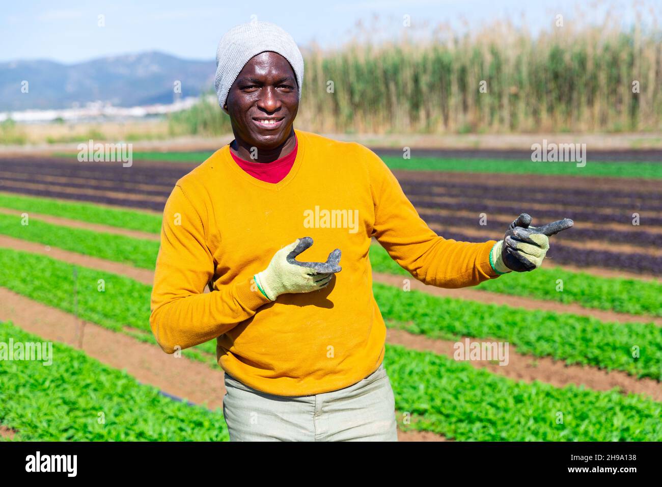 Portrait of smiling afro american man farmer Stock Photo Alamy