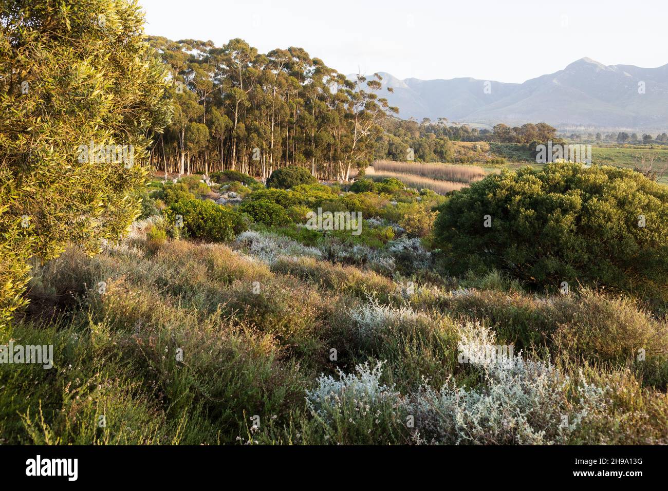 Wandel Pad, Stanford, Western Cape, South Africa. Stock Photo