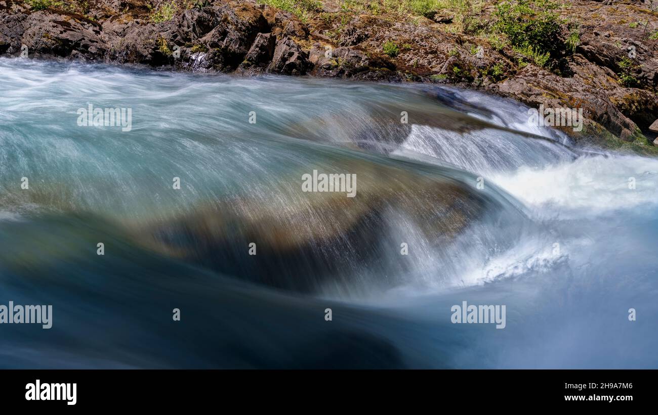 Quinault Rainforest Washington Usa Hi res Stock Photography And Images quinault-rainforest-washington-usa-hi-res-stock-photography-and-images