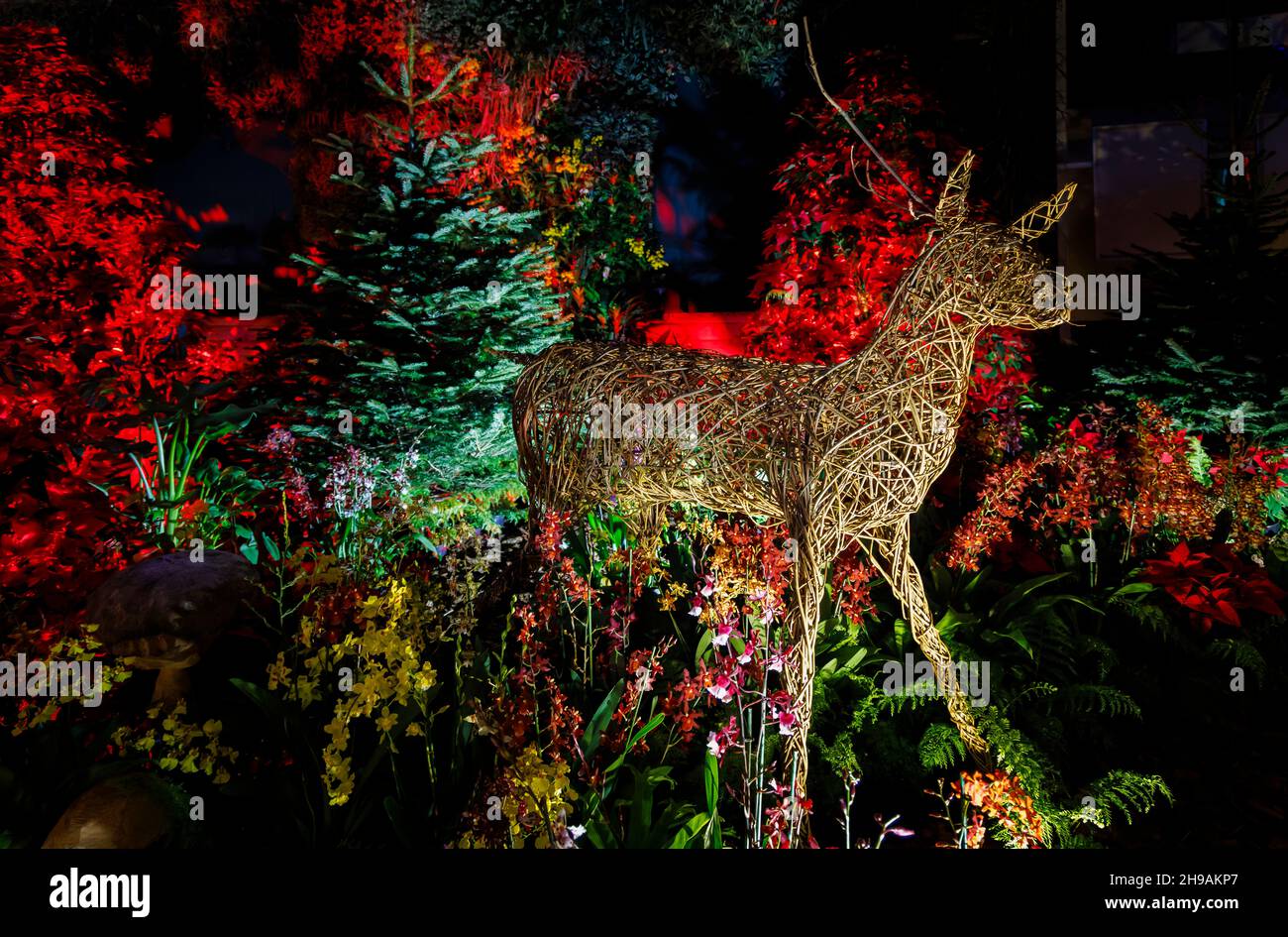christmas displays inside high resolution stock photography and images alamy christmas displays inside high resolution stock photography and images alamy