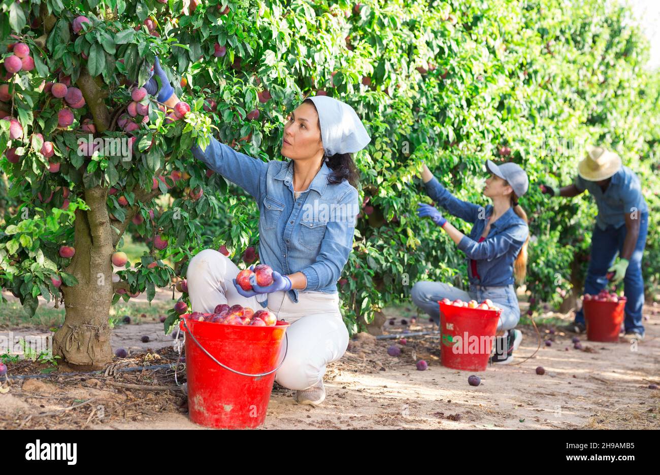 Woman 35s hi-res stock photography and images - Alamy