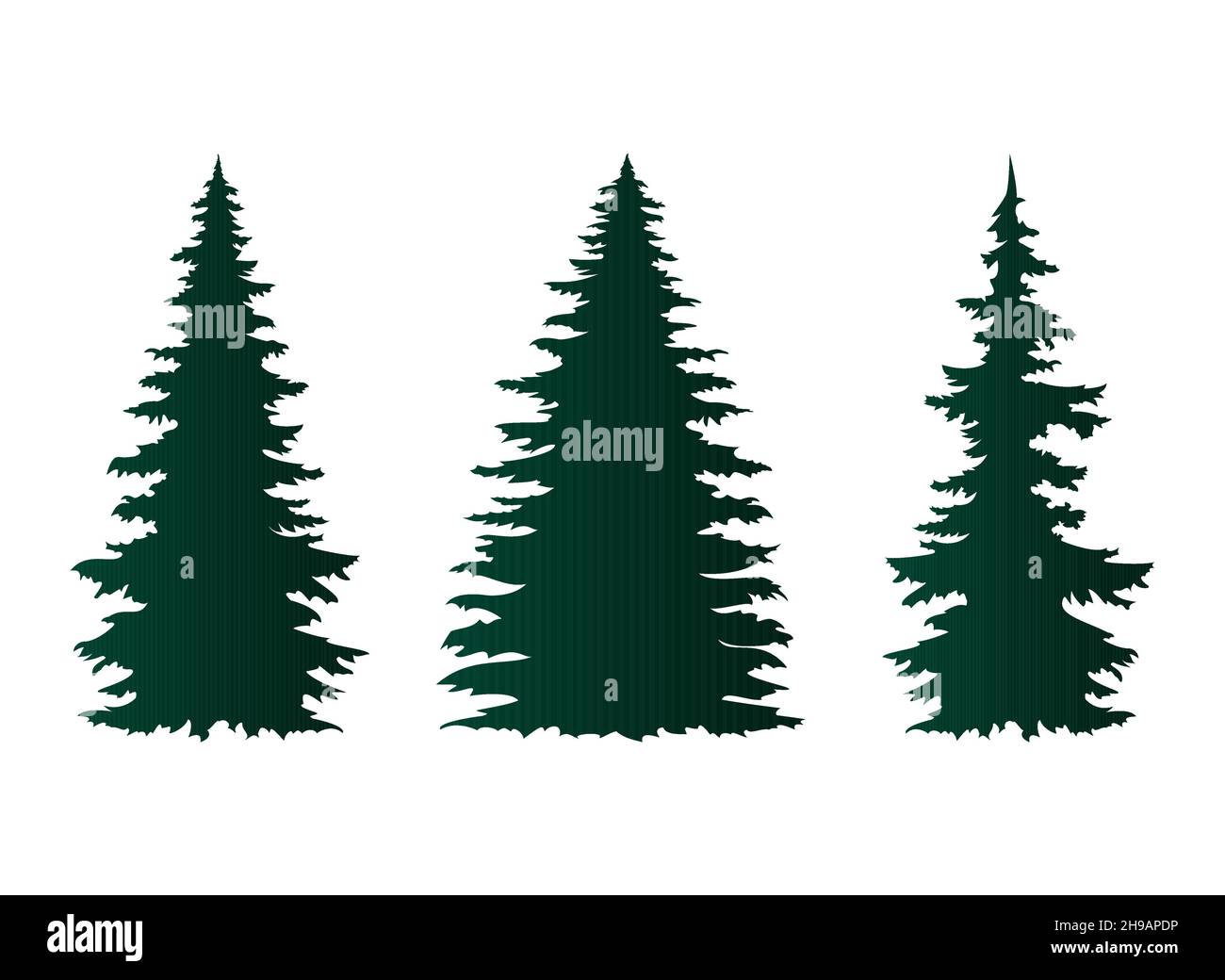 Spruce trees isolated on white. Vector illustration Stock Vector Image