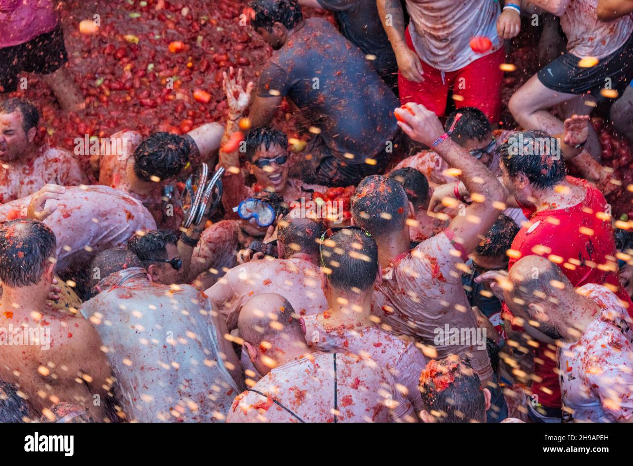 Festival la tomatina hires stock photography and images Alamy
