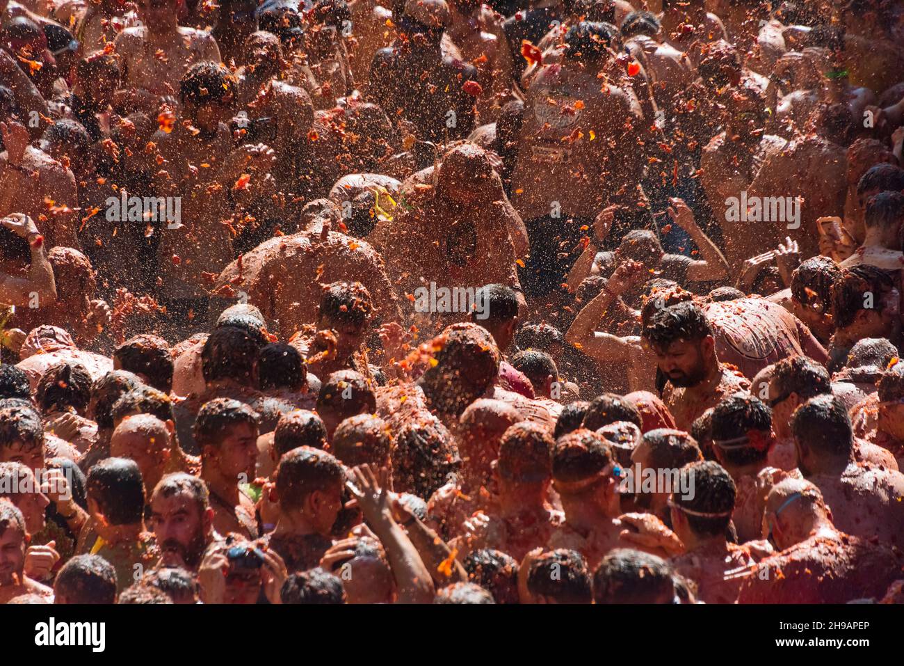 Tomato throwing festival hires stock photography and images Alamy