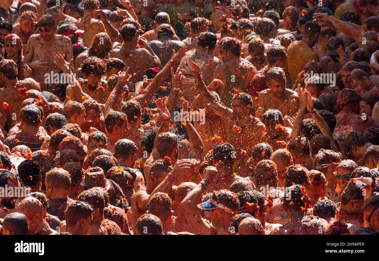 People throwing tomatoes at La Tomatina (Tomato Festival), Bunol