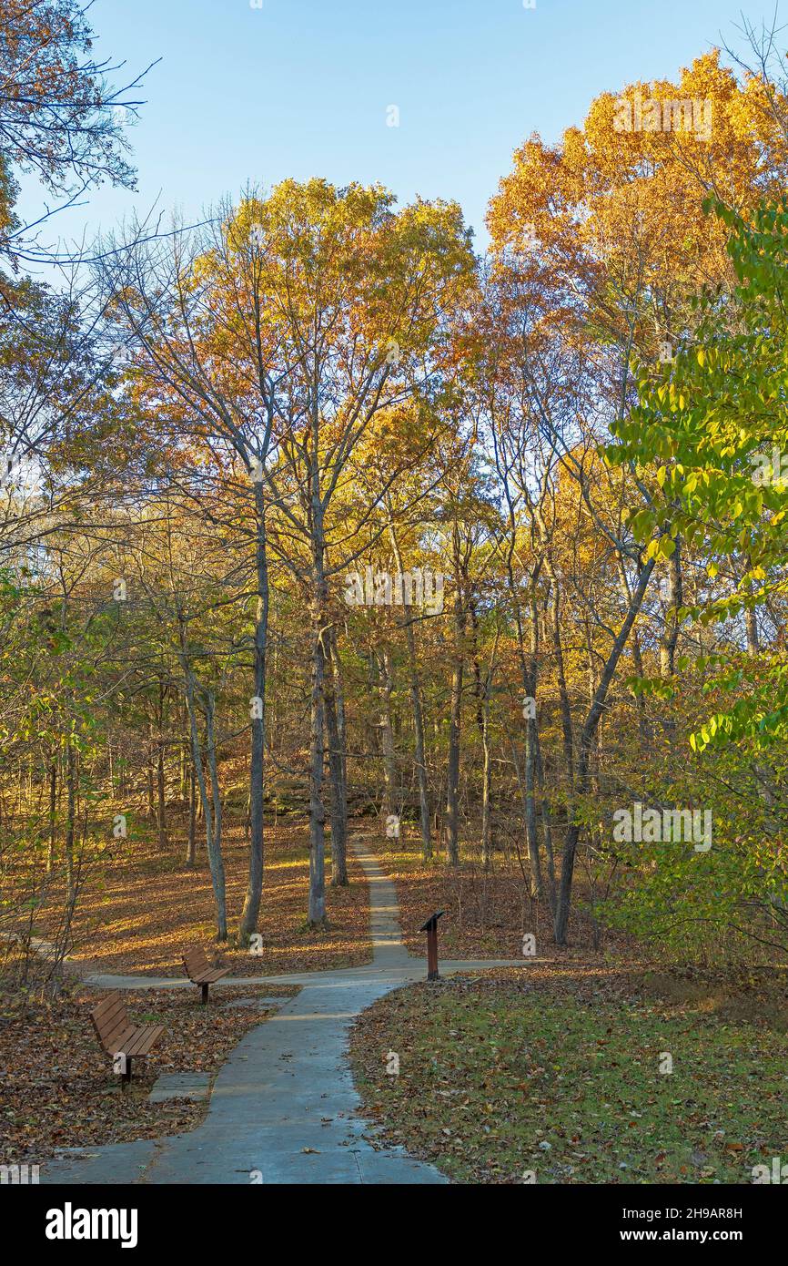 Inviting Trail in the Fall Forest in the Rim Rock National Trail in Illinois Stock Photo