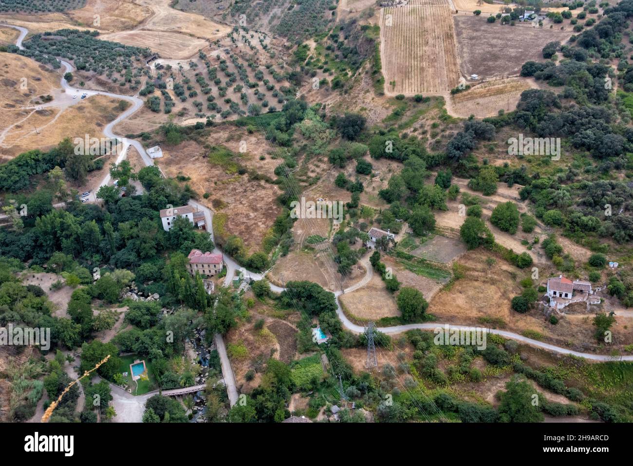 Olive farm in the mountain, Ronda, Malaga Province, Andalusia Autonomous Community, Spain Stock Photo