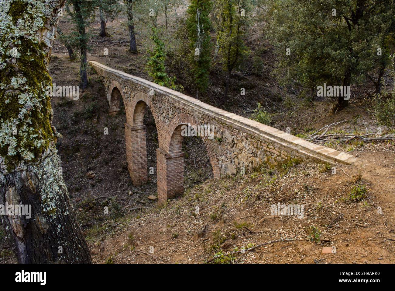 Zenithal view of the Aqueduct of 'Can Vilallonga' , located in Les Gavarres, Catalonia, Spain. Stock Photo