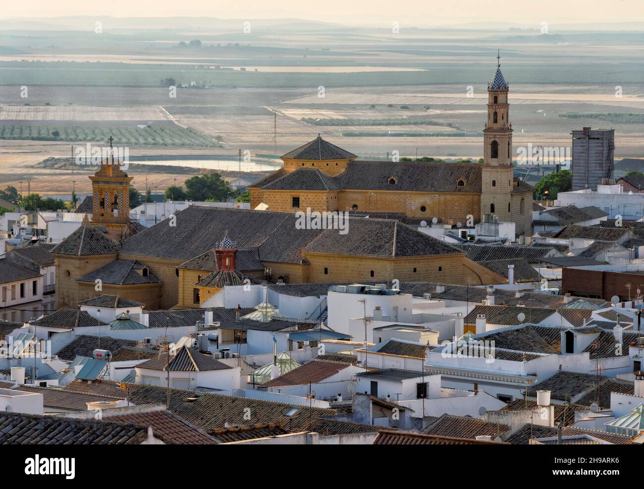 Cityscape of Osuna, Iglesia de la Victoria de Osuna, white houses and olive farm, Osuna, Seville Province, Andalusia Autonomous Community, Spain Stock Photo