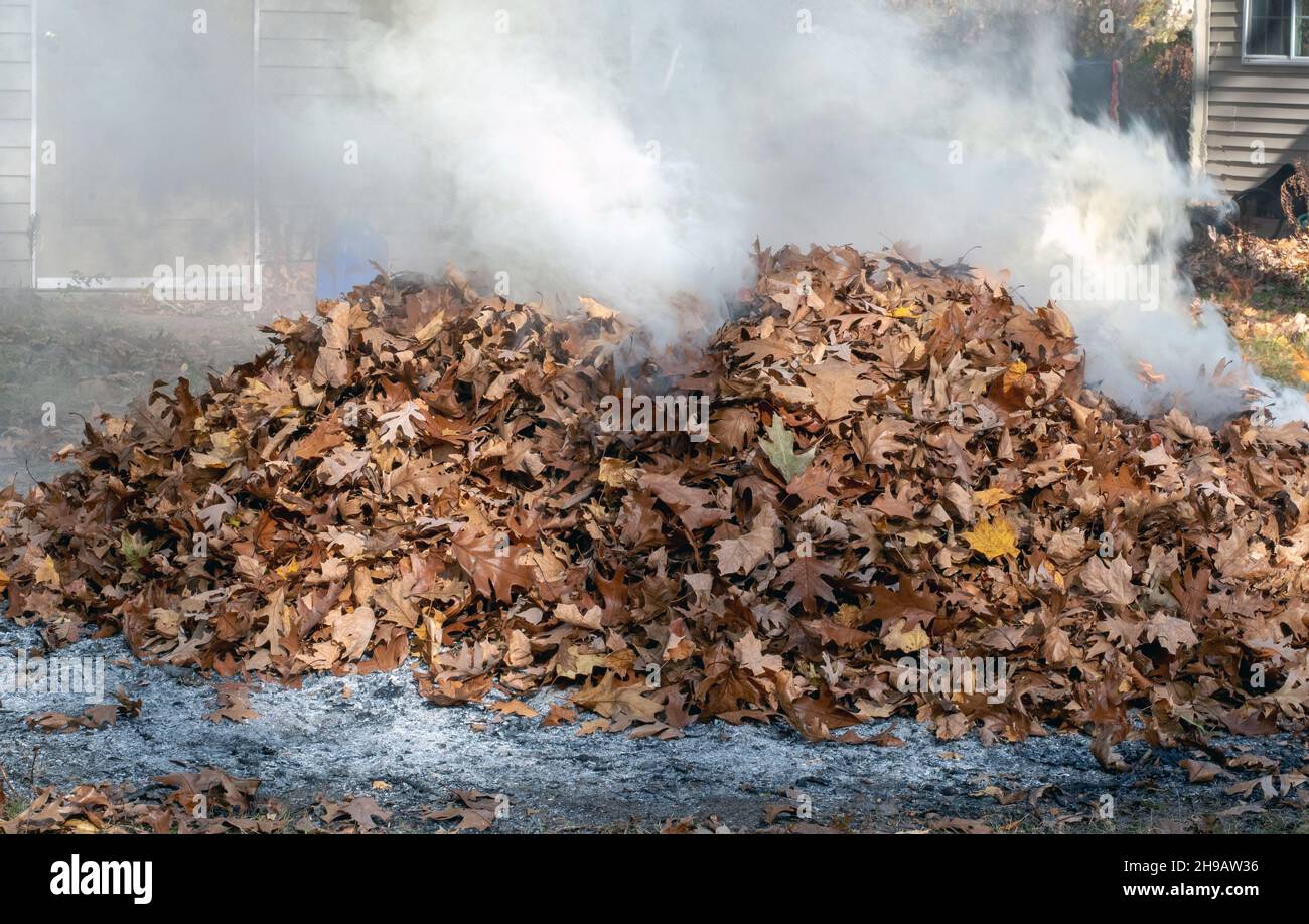piles of leaves are burning, but still a bit too wet, so create lots of