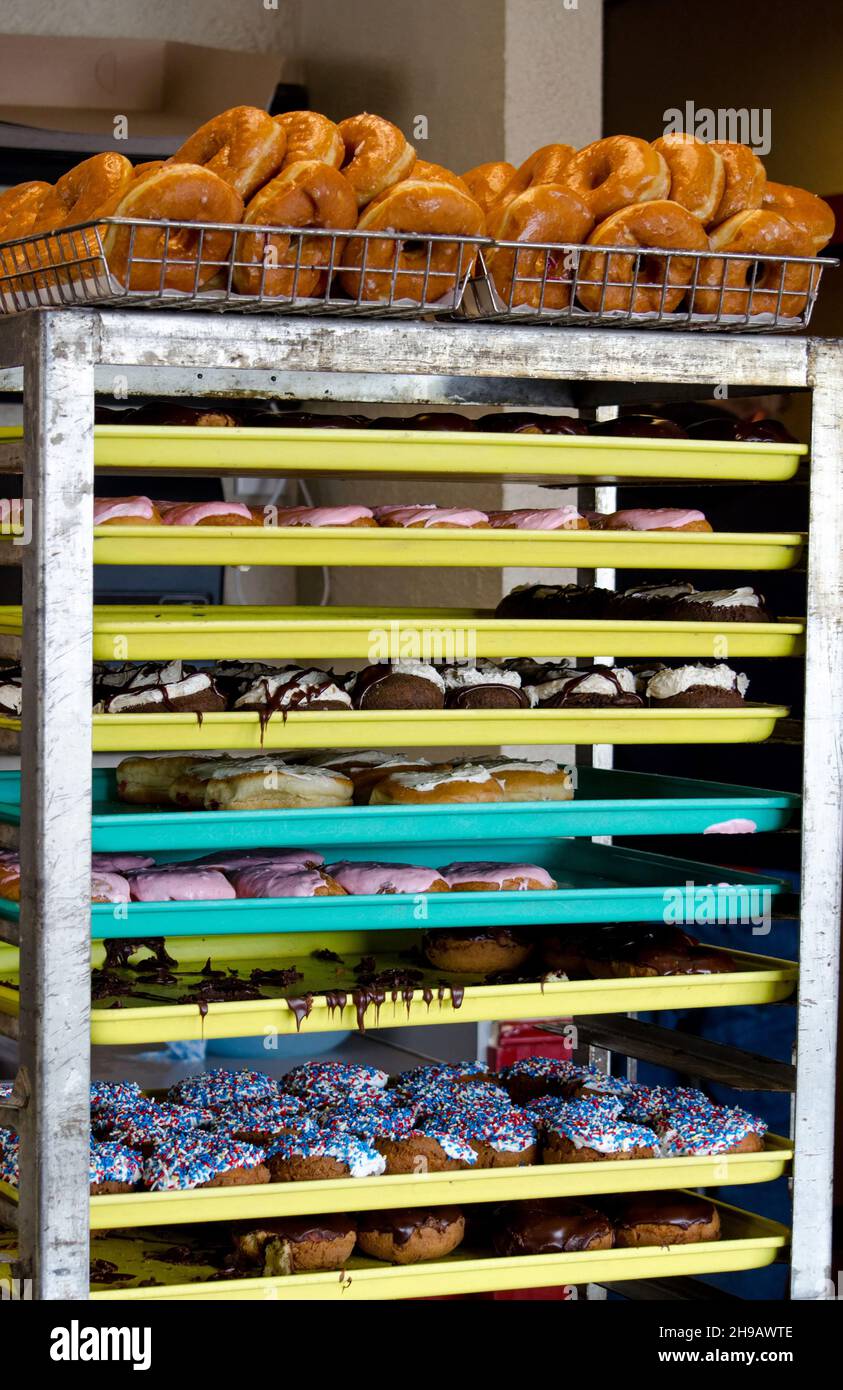 racks of delicious doughnuts sit, just made and ready to be put out for ...