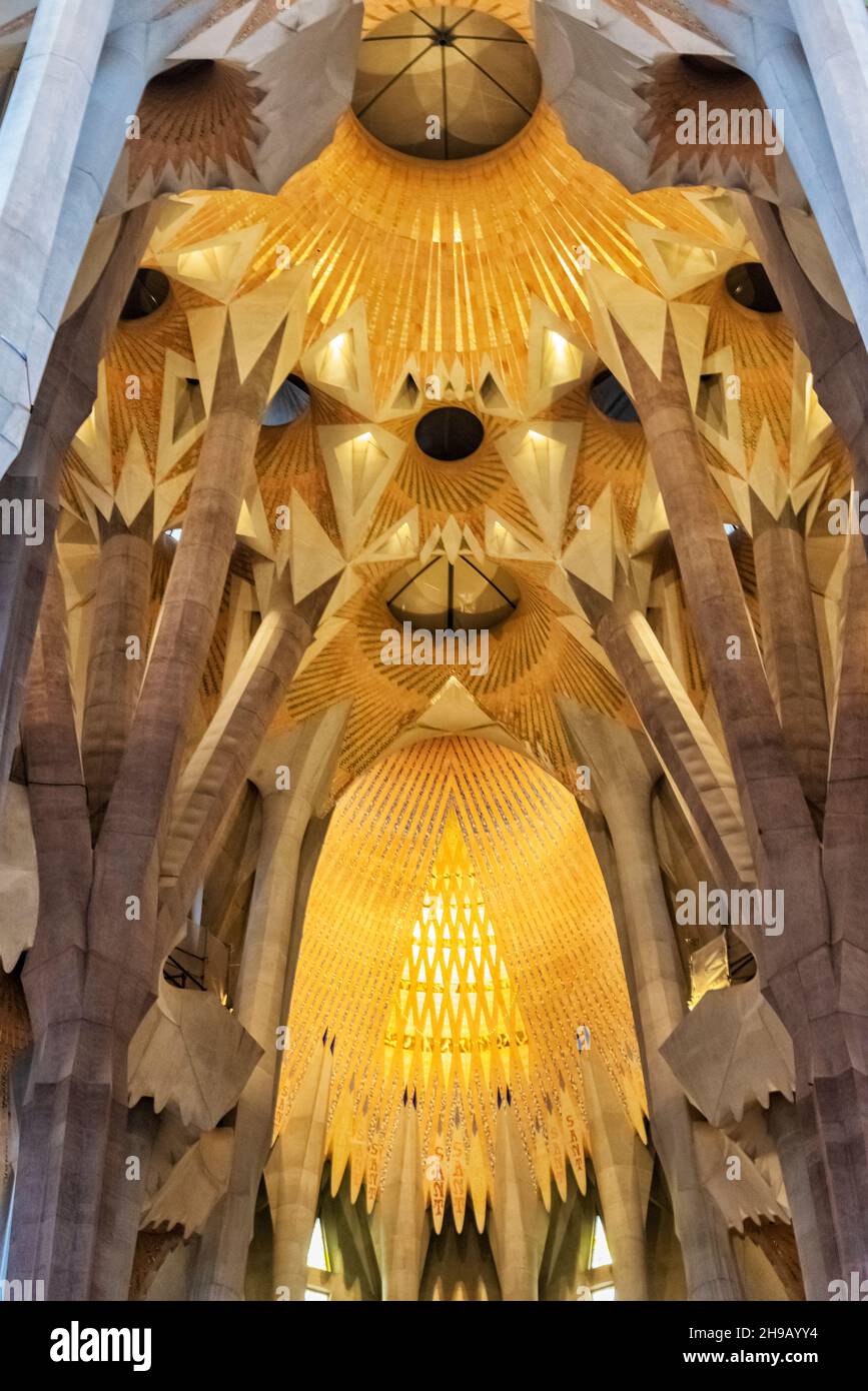 Interior of La Sagrada Familia by Gaudi, Barcelona, Barcelona Province, Catalonia Autonomous Community, Spain Stock Photo