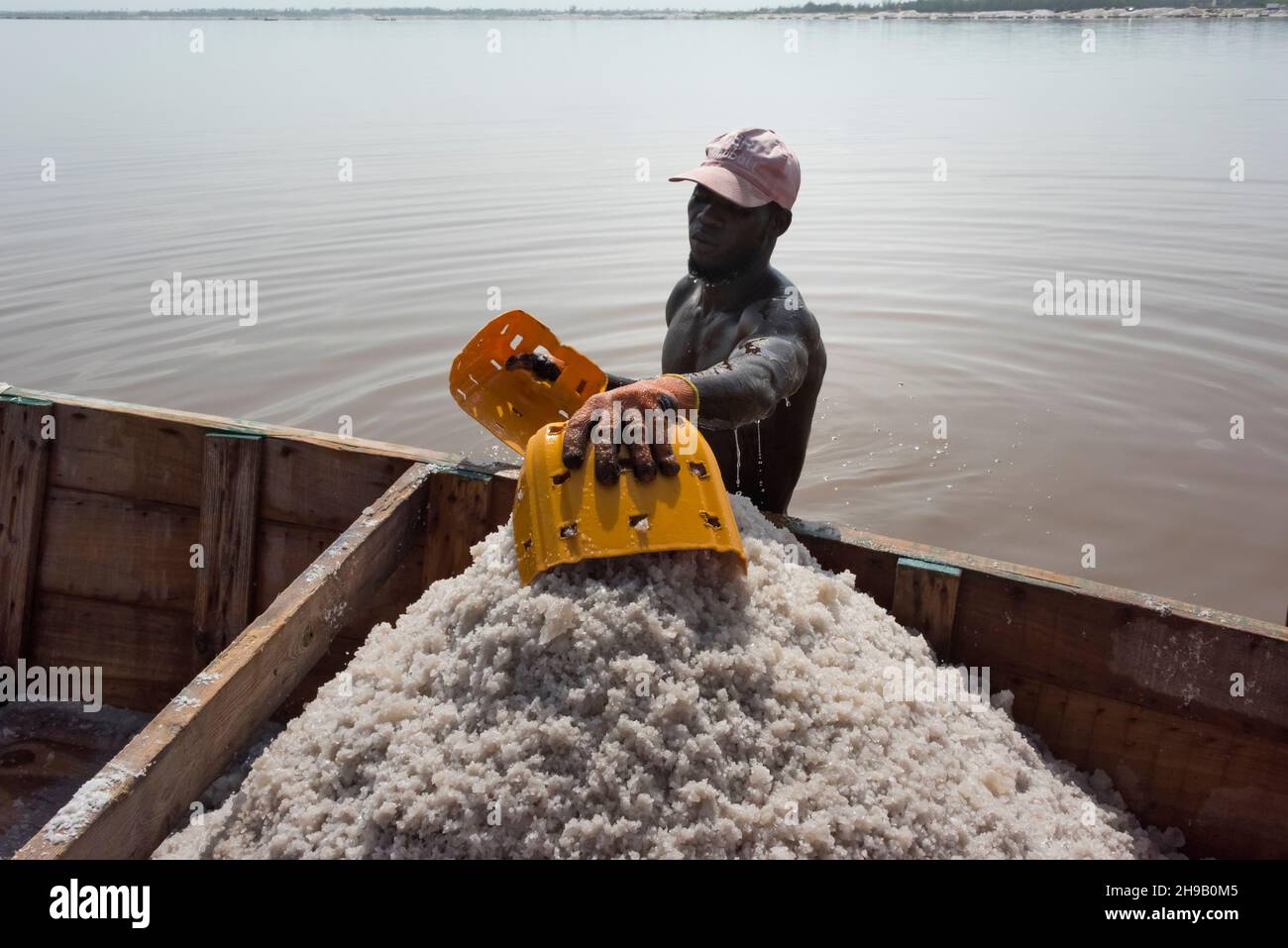 Worker harvesting salt on Lake Retba (Pink Lake), UNESCO World Heritage site, Cap Vert peninsula, Senegal Stock Photo