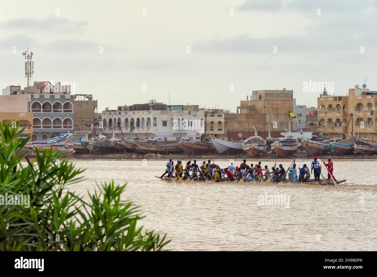 Canoe racing (an indigenous sport of Senegal) on Senegal River, Saint-Louis, Senegal Stock Photo