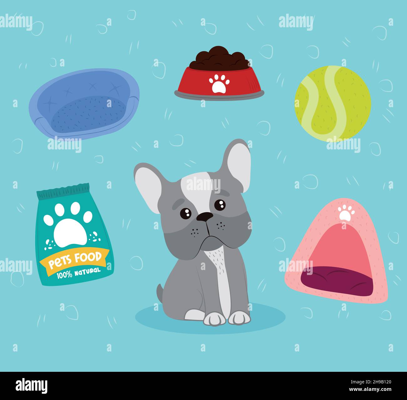pets icon set Stock Vector Image & Art - Alamy